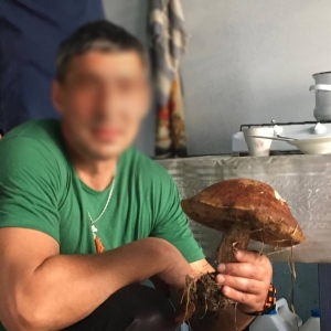 Заготовки на зиму